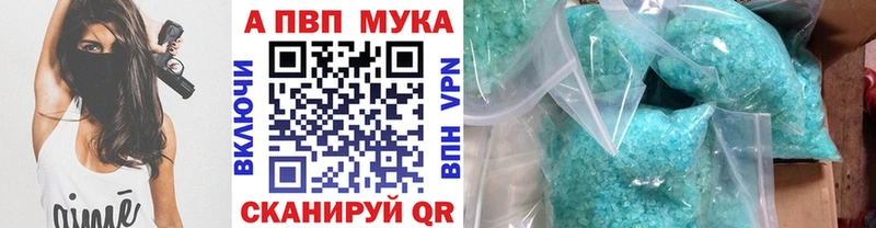 Альфа ПВП СК КРИС  Советская Гавань 