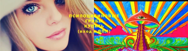 стаф Болотное