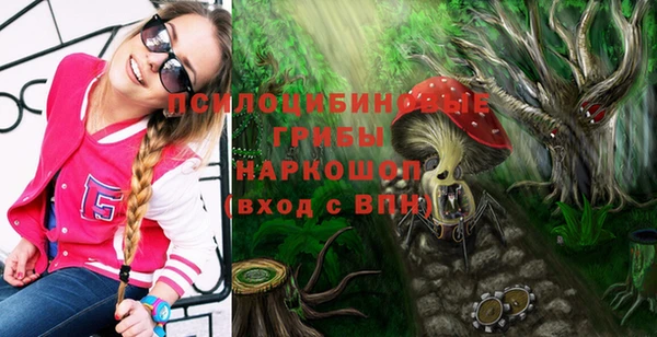 СК Болохово