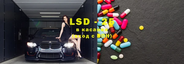 стаф Болотное