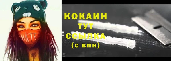 ALPHA PVP Няндома