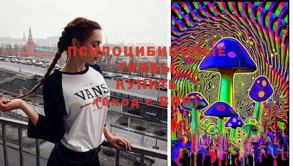 2c-b Болхов