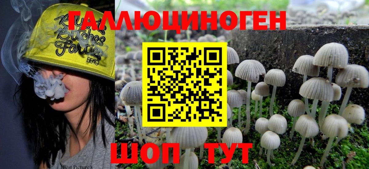 Галлюциногенные грибы прущие грибы Советская Гавань