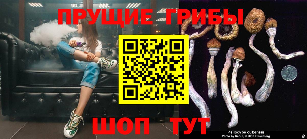 Галлюциногенные грибы Magic Shrooms Советская Гавань